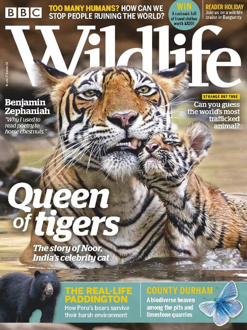 Title details for BBC Wildlife Magazine by Our Media Limited - Available